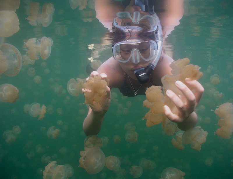 Palau Kayak Day Tours